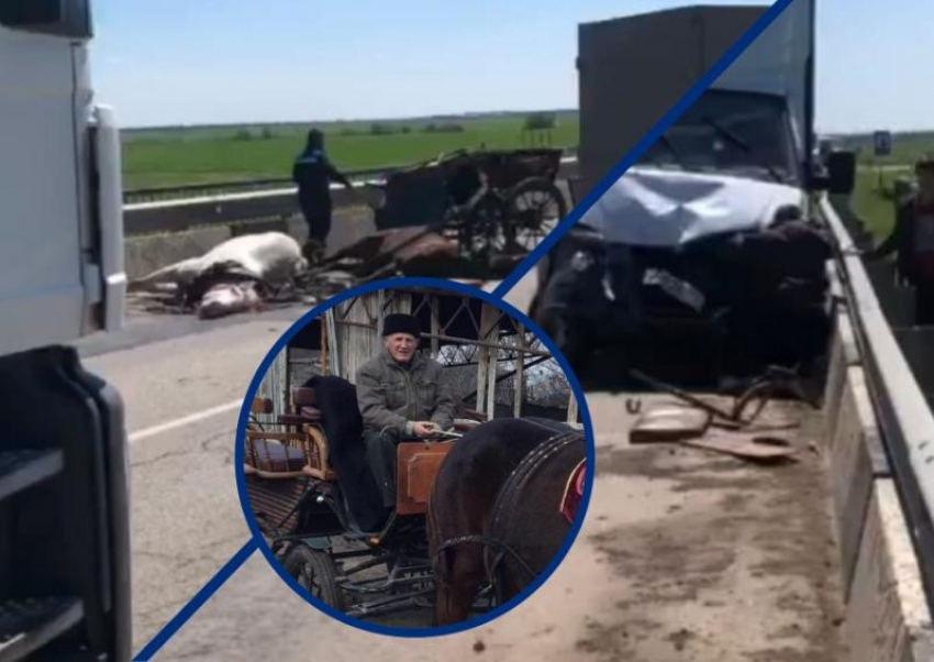 В Ростовской области мужчину после ДТП придавило мертвой лошадью, но ему никто не помог
