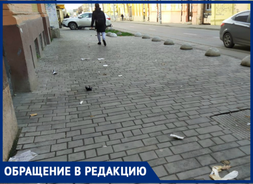Ростовские власти штрафуют за неубранную листву, но не замечают мусор