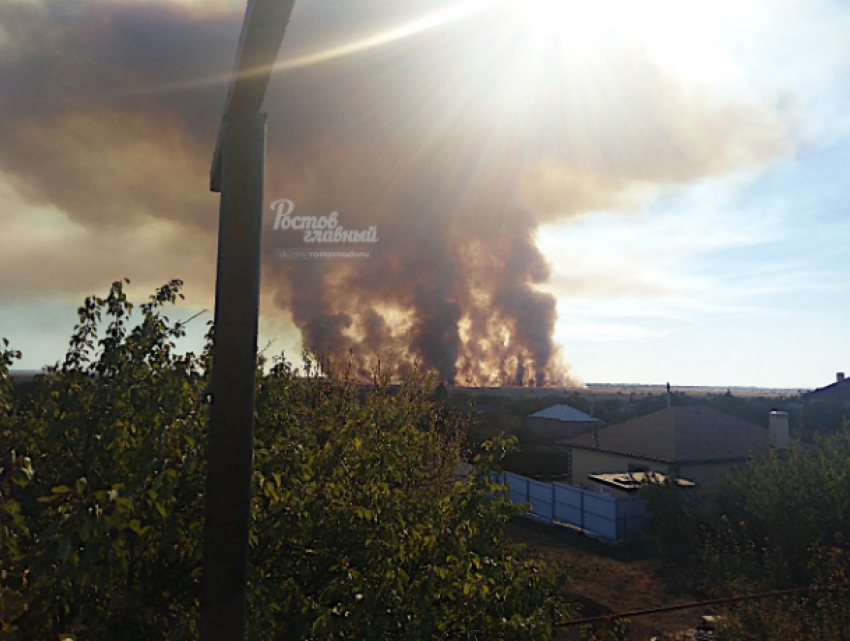 Крупный ландшафтный пожар тушат в Ростовской области