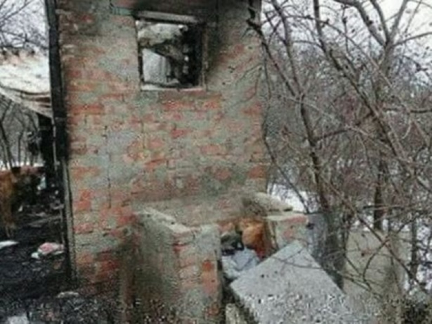 Милосердная жительница Ростова умоляет  помочь оставшимся без хозяина обгоревшим котикам и собакам 