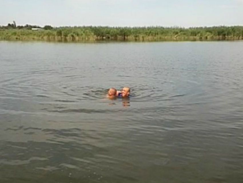 Коварный змей едва не утащил под воду молодого купальщика в Ростовской области