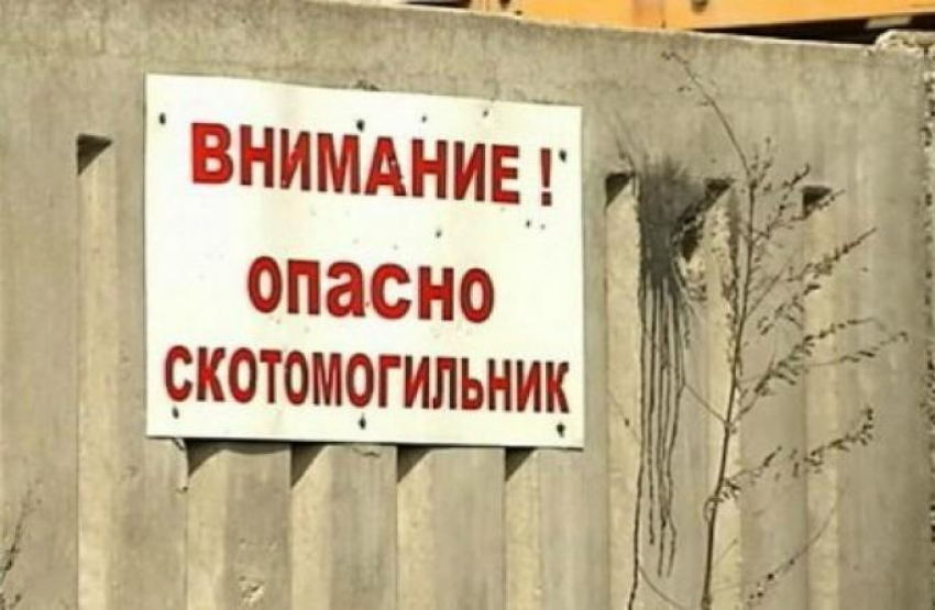 В Ростовской области ликвидировали 170 скотомогильников