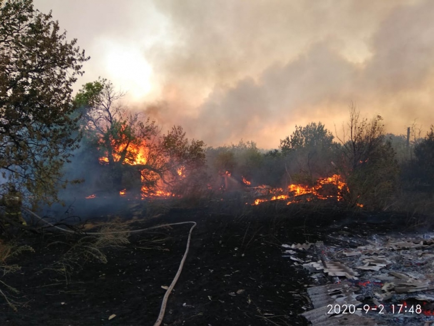 Площадь пожаров в Ростовской области выросла до 522 га
