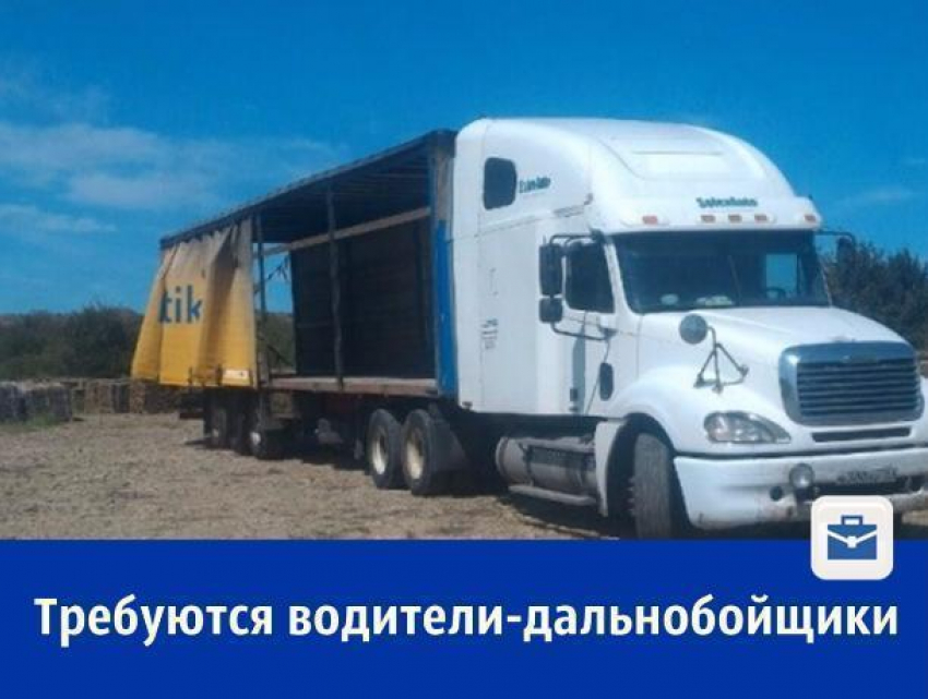 Водители-дальнобойщики для грузоперевозок требуются ростовской компании