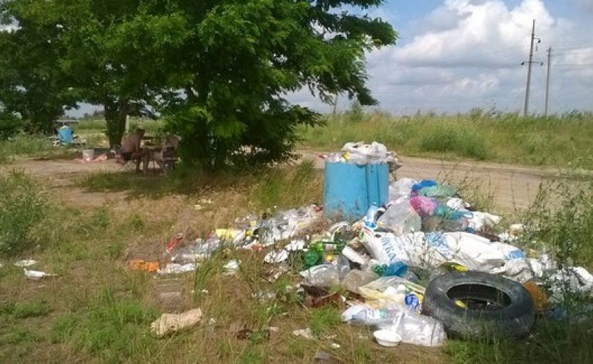 Ростовчане жалуются на грязный берег Соленого озера 