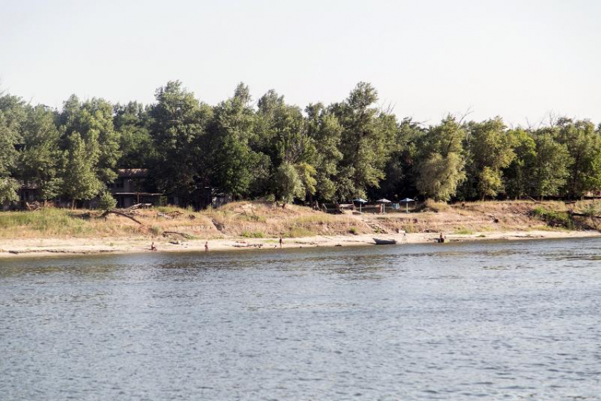 Показатели загрязнения Дона в Ростовской области оказались в 120 раз выше нормы