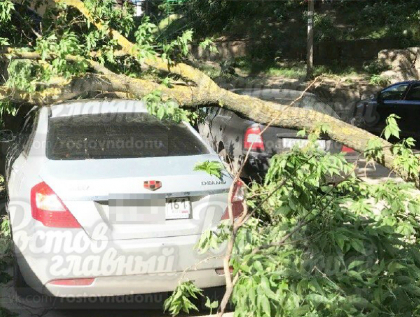 Упавшая перед жилым домом огромная ветка повредила два автомобиля в Ростове