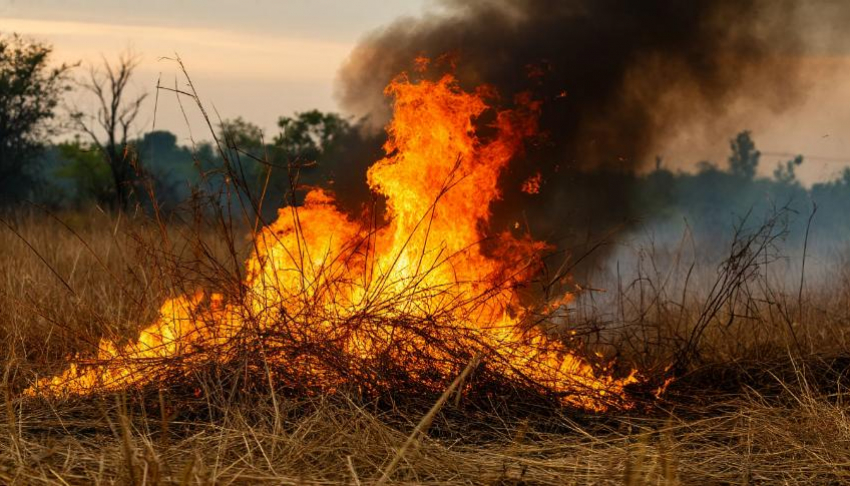 Предварительно семь домов пострадали из-за пожара в Каменске-Шахтинском