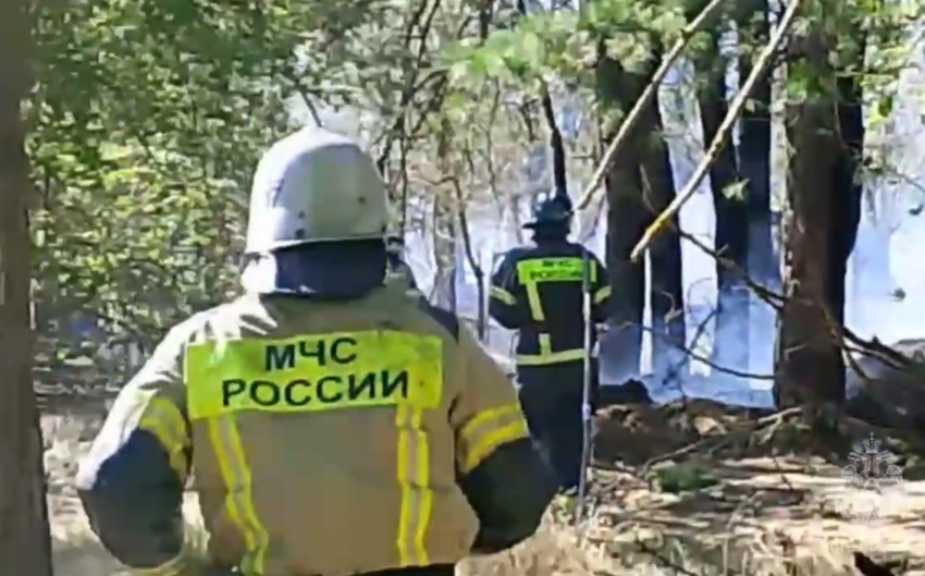 Площадь лесного пожара в Ростовской области достигла 324 гектаров