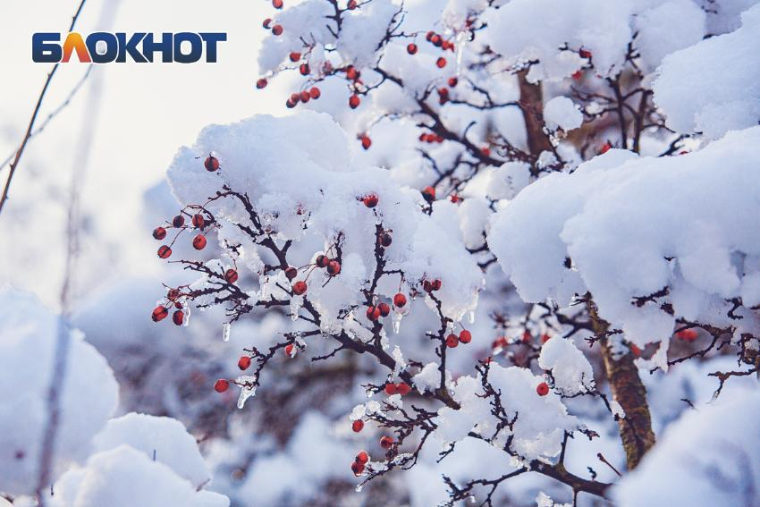 Синоптики предупреждают о сильных морозах этой зимой: температура может опуститься до -40°C