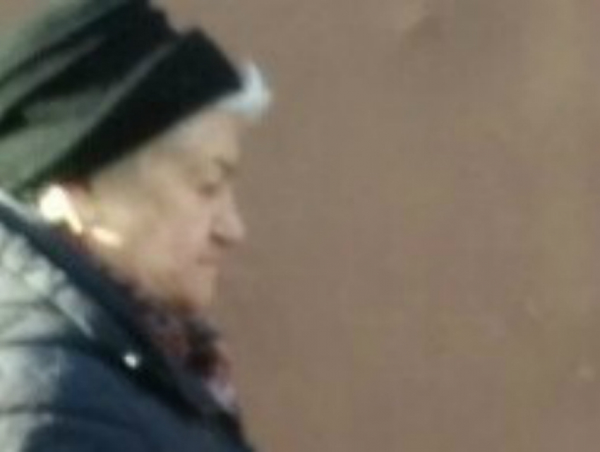 Паразитирующую в чужих дворах Старуху Шапокляк сфотографировали ростовчане