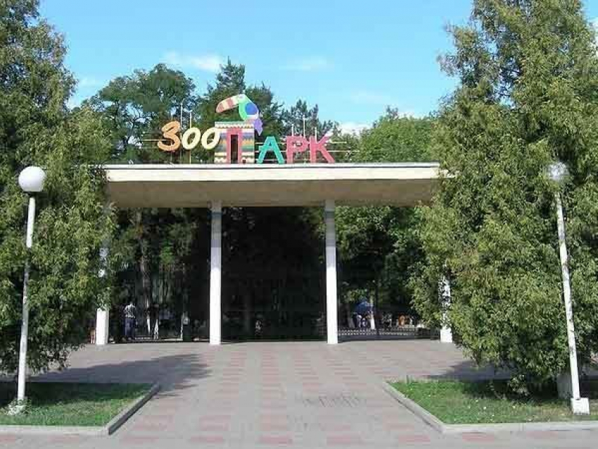 В ростовском зоопарке парковку увеличат на 500 мест