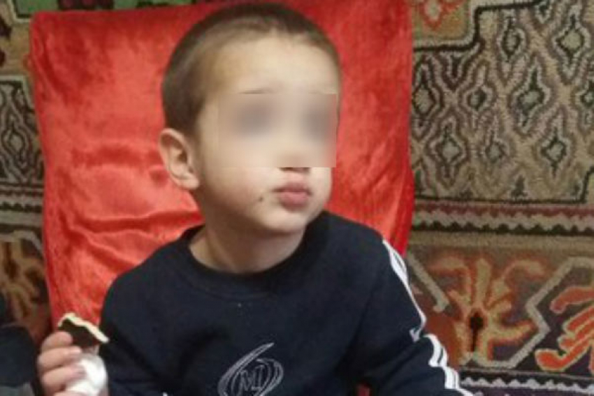 В Ростове мальчик заблудился в роще, пока отец гулял с собаками 
