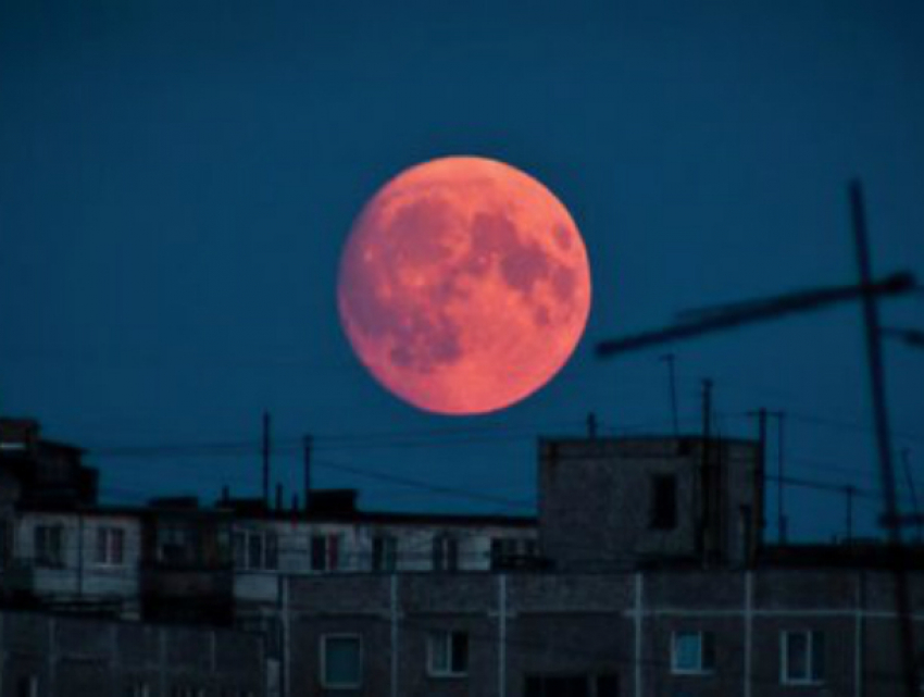 Кровавую Луну и самый красивый звездопад года пообещали жителям Ростовской области