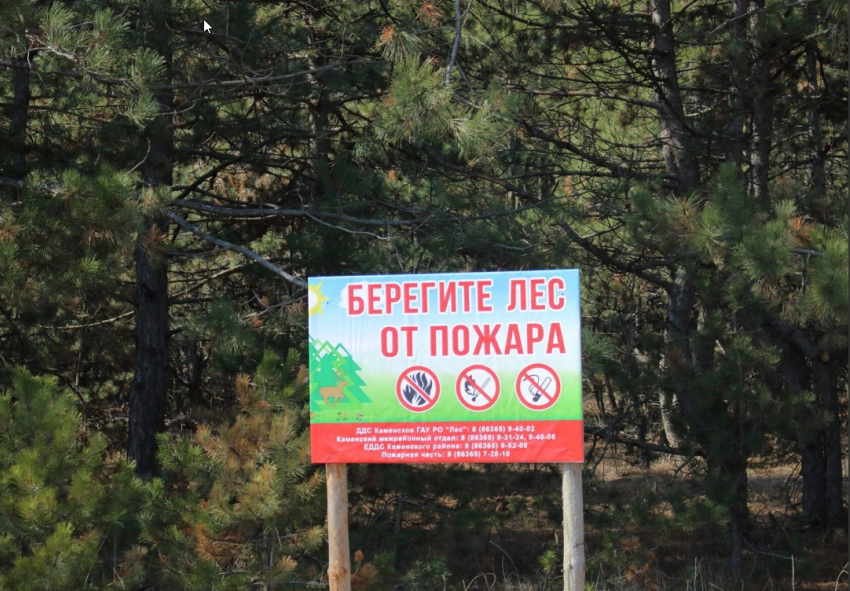 В Ростовской области продлили запрет на пребывание граждан в лесах