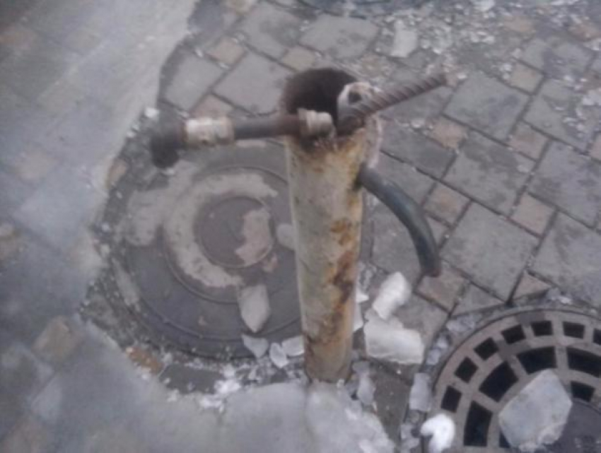 Воду для питья ростовчанам предложили брать из луж