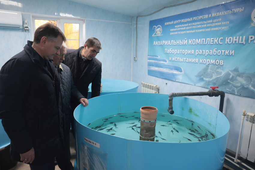 В Ростовской области обсудили перспективы рыбоводства в бассейне Азовского моря