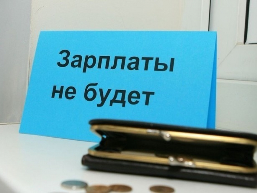 Почти целый год в Ростовской области 197 сотрудников компании работали за «спасибо» 