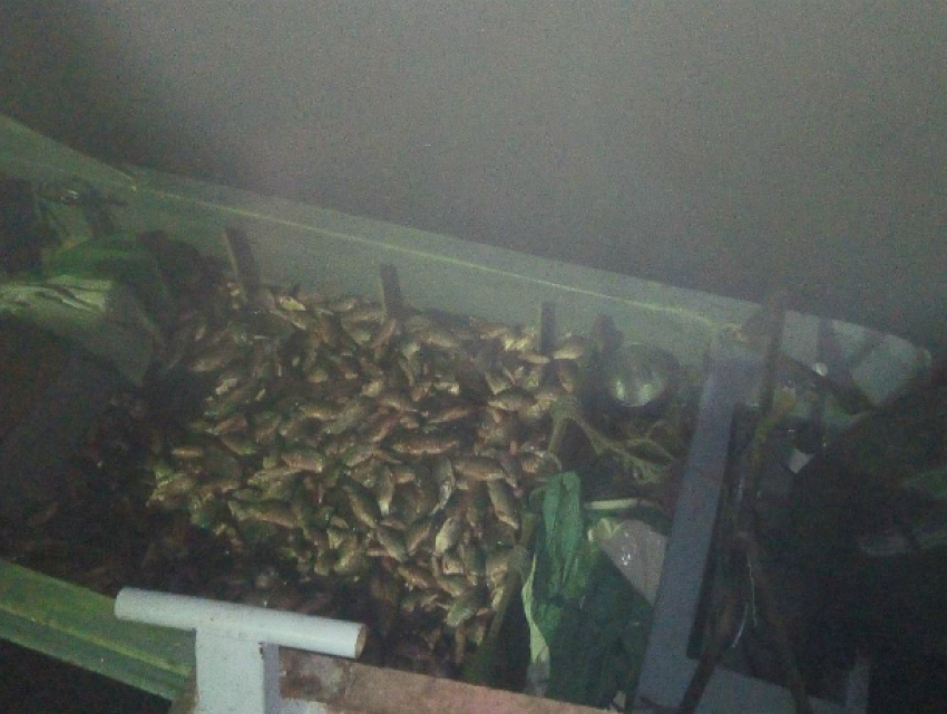 Уничтожавших все живое в акватории Таганрогского залива браконьеров поймали в Ростовской области