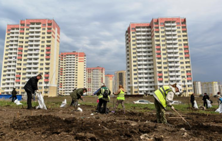 В Ростове в микрорайоне Суворовском завершена высадка парка в честь 70-летия Победы 