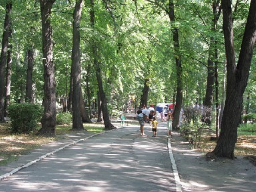 В Ростове поймали извращенца, орудовавшего в роще на Можайской 