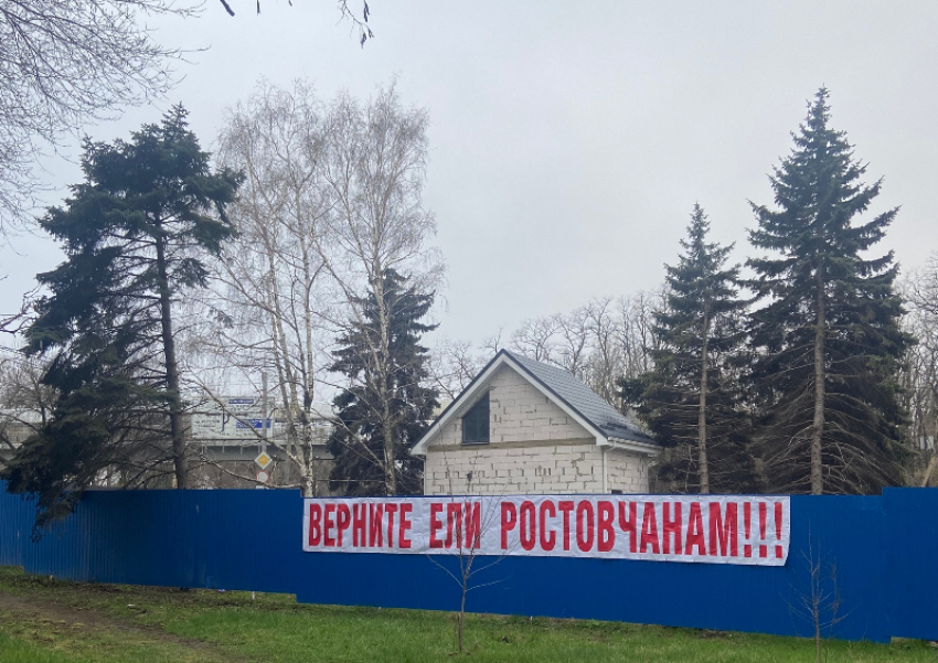 В Ростове начался суд по антикоррупционному иску о вырубке елей на Зеленой