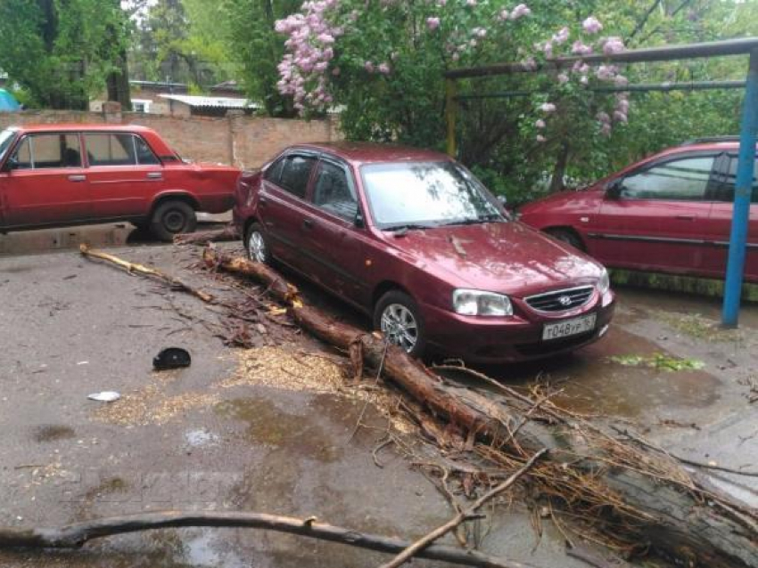 В Таганроге владельцы машин обнаружили свои авто под рухнувшими деревьями 