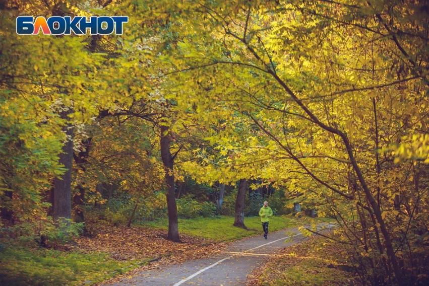 Позиция Ростовской области в национальном экологическом рейтинге ухудшилась