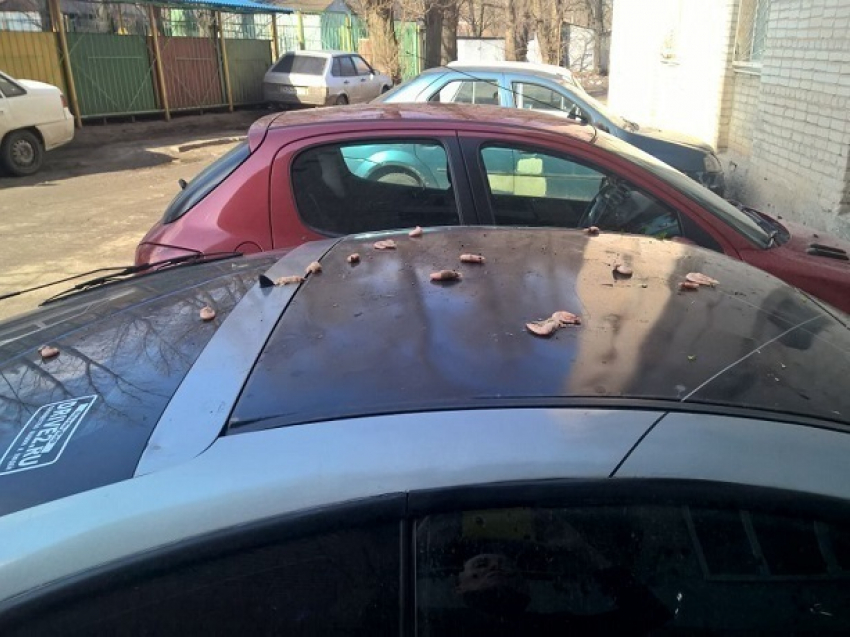 Кастрюлю с креветками вывалили из окна на автомобиль соседа жители Ростова