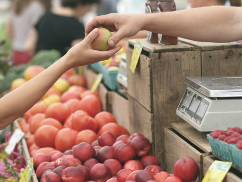 Напичканные кишечной палочкой продукты стали причиной госпитализации 210 человек в Ростовской области