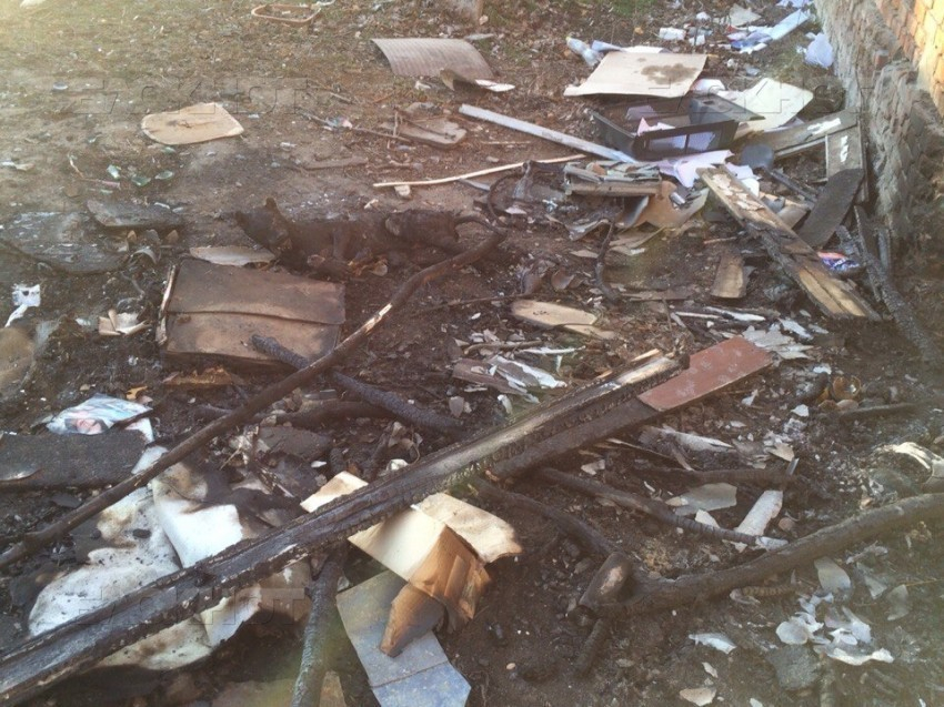   Живодеры заживо сожгли собаку в Ростовской области 