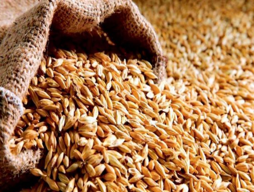В Ростовской области собрали 12 млн тонн зерна