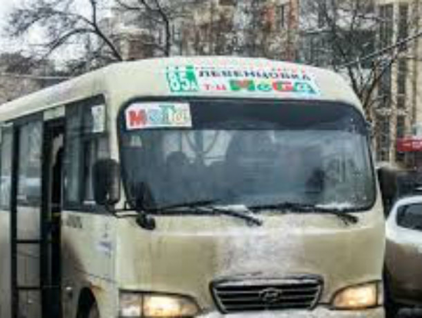 Озабоченные народной безопасностью власти хотят убрать и пригородные маршрутки в Ростове
