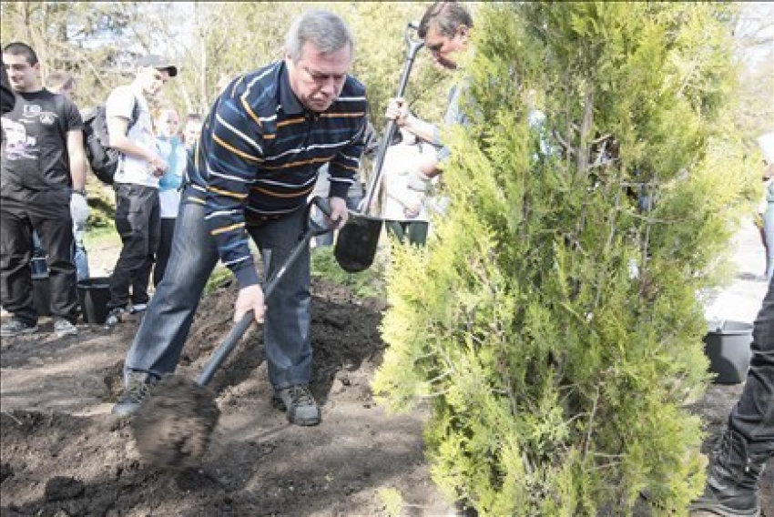 Василий Голубев предложил каждому жителю Ростовской области посадить дерево 