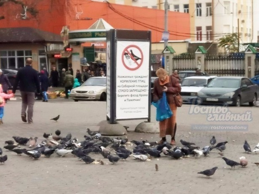 Несмотря на запрет, ростовчанка кормит голубей рядом с памятниками и храмом