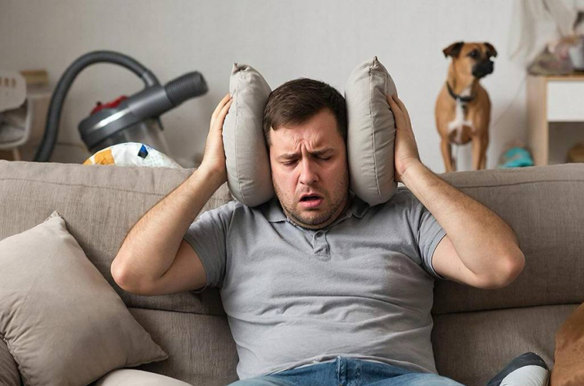 Жителей Ростовской области могут наказать за громкие ссоры и лай собак дома  