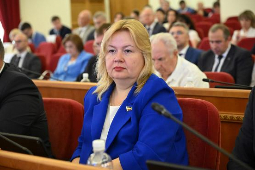 Новочеркасск может возглавить депутат Заксобрания области Елена Теплинская