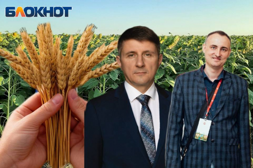 «Урожай зависит не только от погоды»: представители отрасли о прогнозах и рисках для донских фермеров