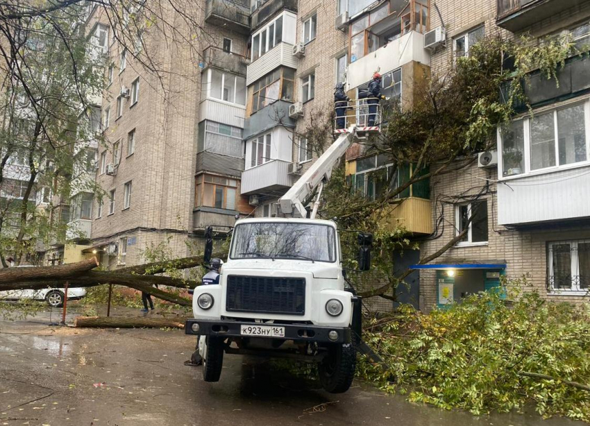 В Ростове из-за ливня и сильного ветра на выходных упали 36 деревьев 