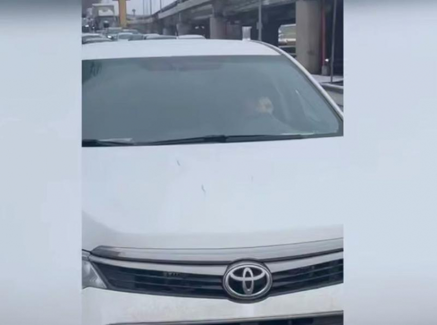 Двое полицейских спасли женщину на оживленной дороге в Ростове 