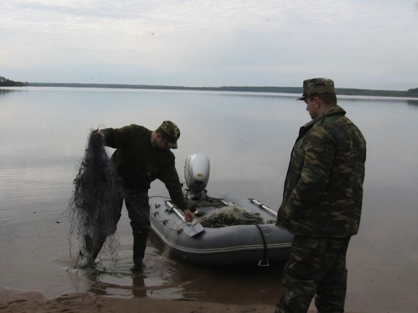 Чиновник Росрыболовства задержан за взятку в 188 тысяч рублей