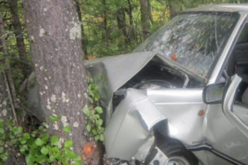 Водитель легковушки погиб, врезавшись в дерево в Аксайском районе