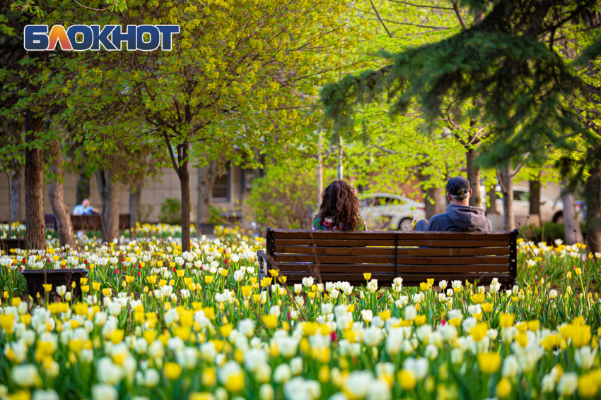 Теплый весенний день ожидается в Ростове 16 апреля