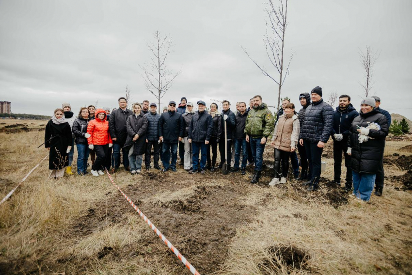 ГК «ЮгСтройИнвест» присоединилась к осенней высадке деревьев в «Новом Ростове»