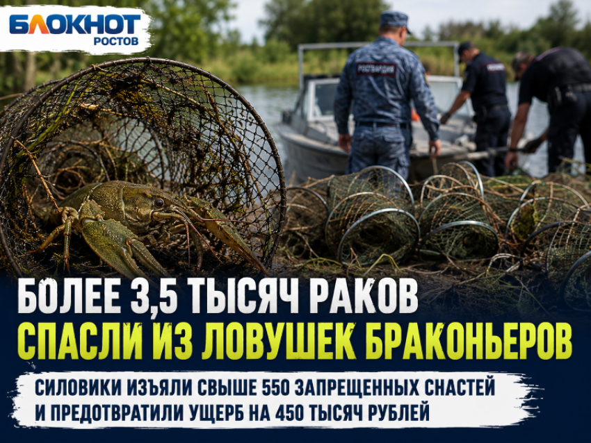 Тысячи раков попались в сети браконьеров: в Ростовской области изъяли более 550 ловушек