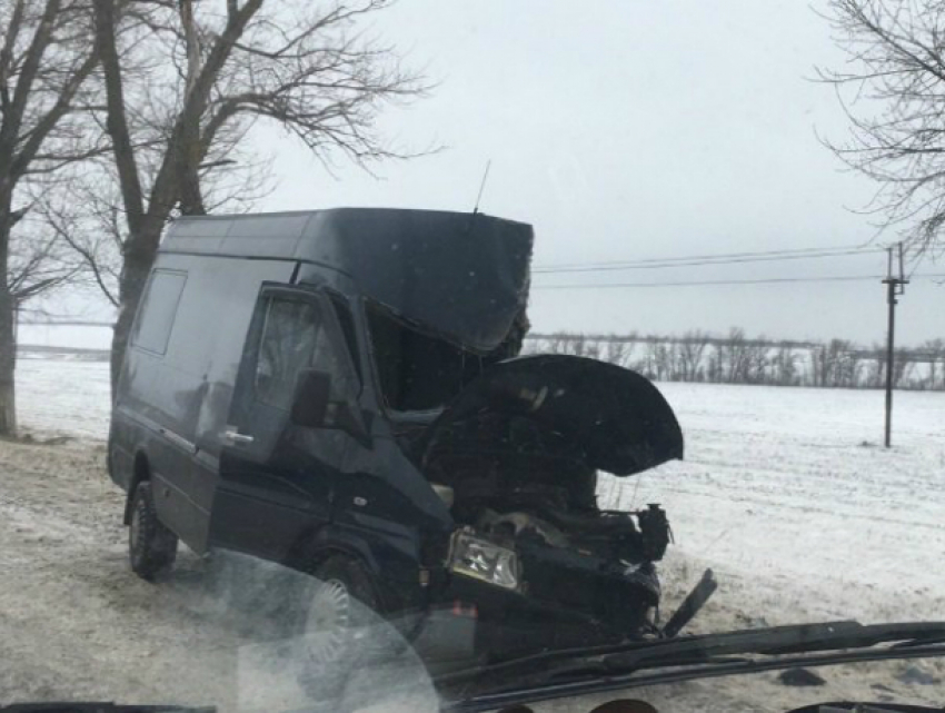 Три человека получили травмы после жуткого столкновения микроавтобуса с деревом на трассе под Ростовом