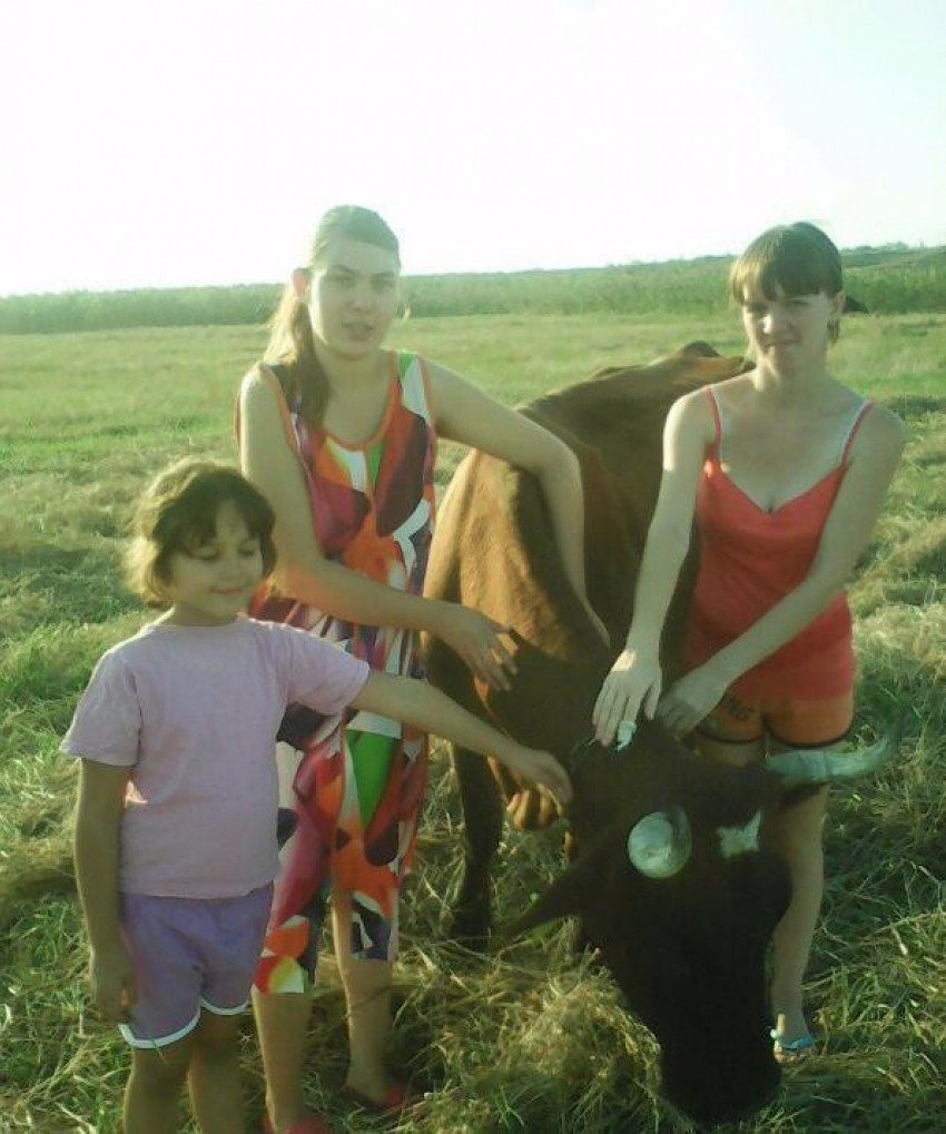 Жители Дона подарили корову-кормилицу семье из хутора Каменный в Ростовской области