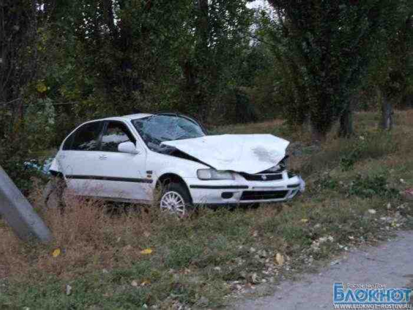 В Волгодонском районе дачницу насмерть сбила «Хонда»