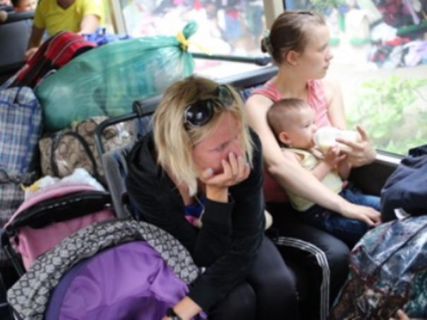 Больше 25 тысяч беженцев проживают в Ростовской области