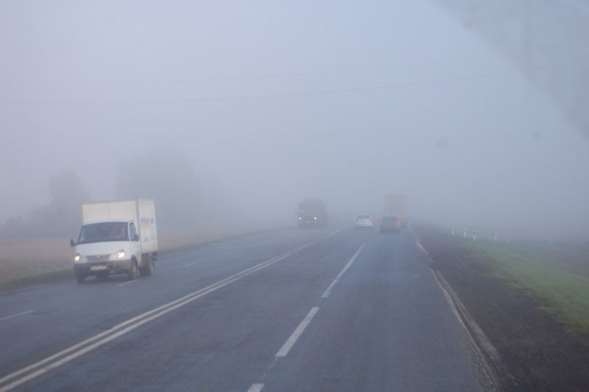 Сильный туман ожидается в Ростовской области ночью и утром 18 января